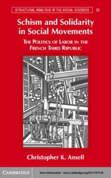 Schism and Solidarity in Social Movements : The Politics of Labor in the French Third Republic