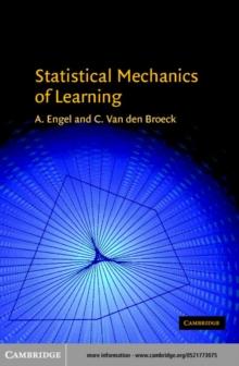 Statistical Mechanics of Learning