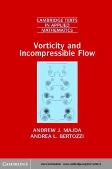 Vorticity and Incompressible Flow