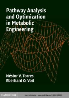 Pathway Analysis and Optimization in Metabolic Engineering