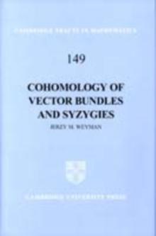 Cohomology of Vector Bundles and Syzygies