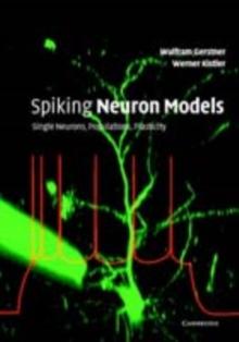 Spiking Neuron Models : Single Neurons, Populations, Plasticity