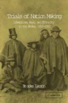 Trials of Nation Making : Liberalism, Race, and Ethnicity in the Andes, 18101910