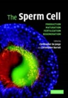 Sperm Cell : Production, Maturation, Fertilization, Regeneration