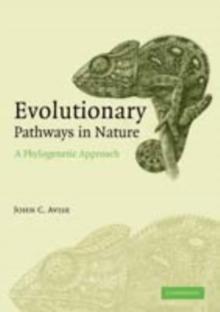 Evolutionary Pathways in Nature : A Phylogenetic Approach