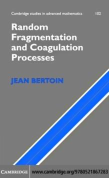 Random Fragmentation and Coagulation Processes