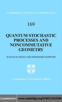 Quantum Stochastic Processes and Noncommutative Geometry