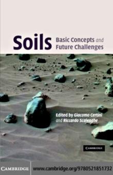 Soils: Basic Concepts and Future Challenges