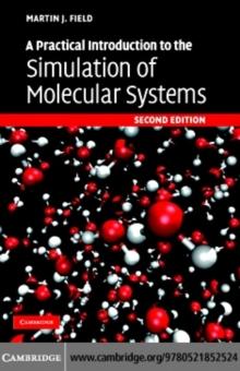 A Practical Introduction to the Simulation of Molecular Systems