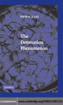 The Detonation Phenomenon