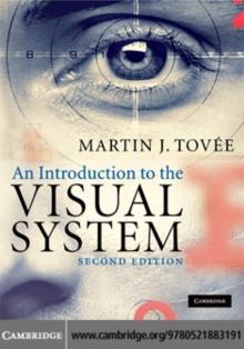 An Introduction to the Visual System