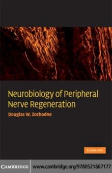 Neurobiology of Peripheral Nerve Regeneration