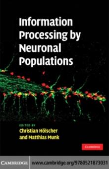 Information Processing by Neuronal Populations