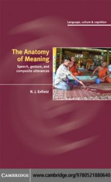 The Anatomy of Meaning : Speech, Gesture, and Composite Utterances