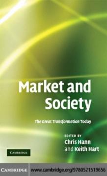 Market and Society : The Great Transformation Today