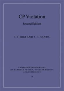 CP Violation