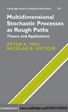 Multidimensional Stochastic Processes as Rough Paths : Theory and Applications