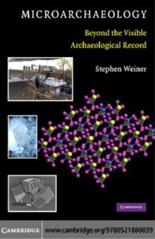 Microarchaeology : Beyond the Visible Archaeological Record