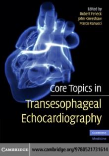 Core Topics in Transesophageal Echocardiography