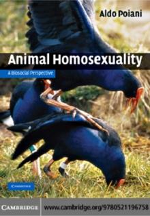 Animal Homosexuality : A Biosocial Perspective