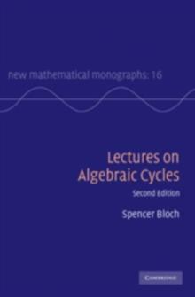 Lectures on Algebraic Cycles