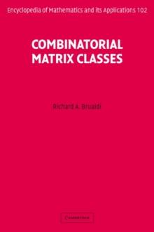 Combinatorial Matrix Classes