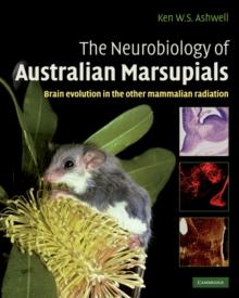 Neurobiology of Australian Marsupials : Brain Evolution in the Other Mammalian Radiation