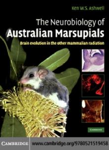 The Neurobiology of Australian Marsupials : Brain Evolution in the Other Mammalian Radiation