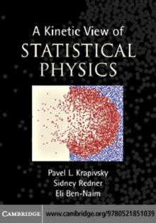 A Kinetic View of Statistical Physics