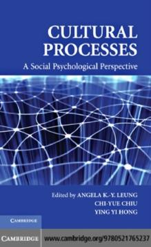 Cultural Processes : A Social Psychological Perspective