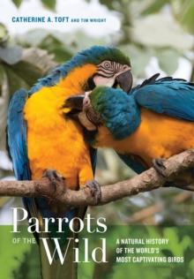 Parrots of the Wild : A Natural History of the Worlds Most Captivating Birds