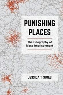 Punishing Places : The Geography of Mass Imprisonment