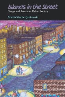 Islands in the Street : Gangs and American Urban Society