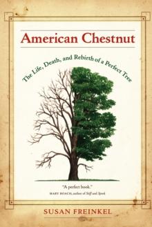 American Chestnut : The Life, Death, and Rebirth of a Perfect Tree