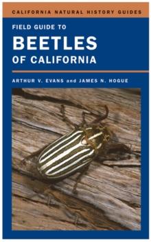 Field Guide to Beetles of California