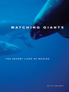 Watching Giants : The Secret Lives of Whales