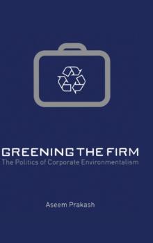 Greening the Firm : The Politics of Corporate Environmentalism