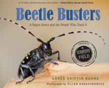 Beetle Busters : A Rogue Insect and the People Who Track It