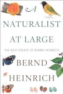 A Naturalist at Large : The Best Essays of Bernd Heinrich