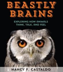 Beastly Brains : Exploring How Animals Think, Talk, and Feel