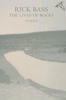 The Lives of Rocks : Stories