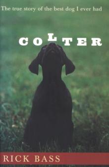 Colter : The True Story of the Best Dog I Ever Had