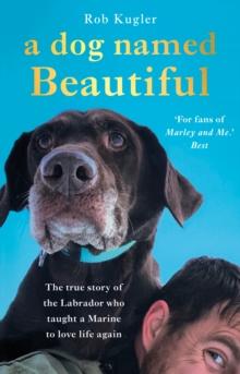 A Dog Named Beautiful : The true story of the Labrador who taught a Marine to love life again