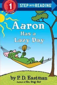 Aaron Has a Lazy Day