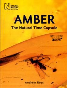 Amber : The Natural Time Capsule