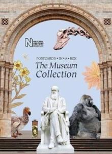 The Museum Collection : Postcards in a Box