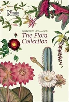 The Flora Collection : Postcards in a Box