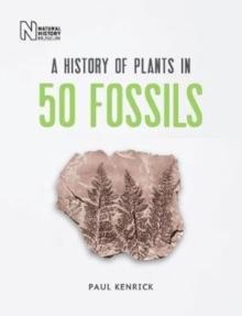 A History of Plants in 50 Fossils