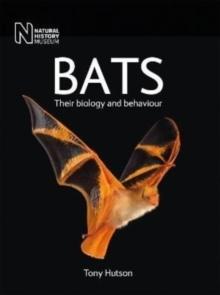 Bats : Their biology and behaviour