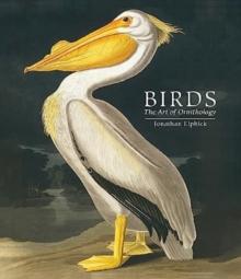 Birds : The Art of Ornithology (Pocket edition)